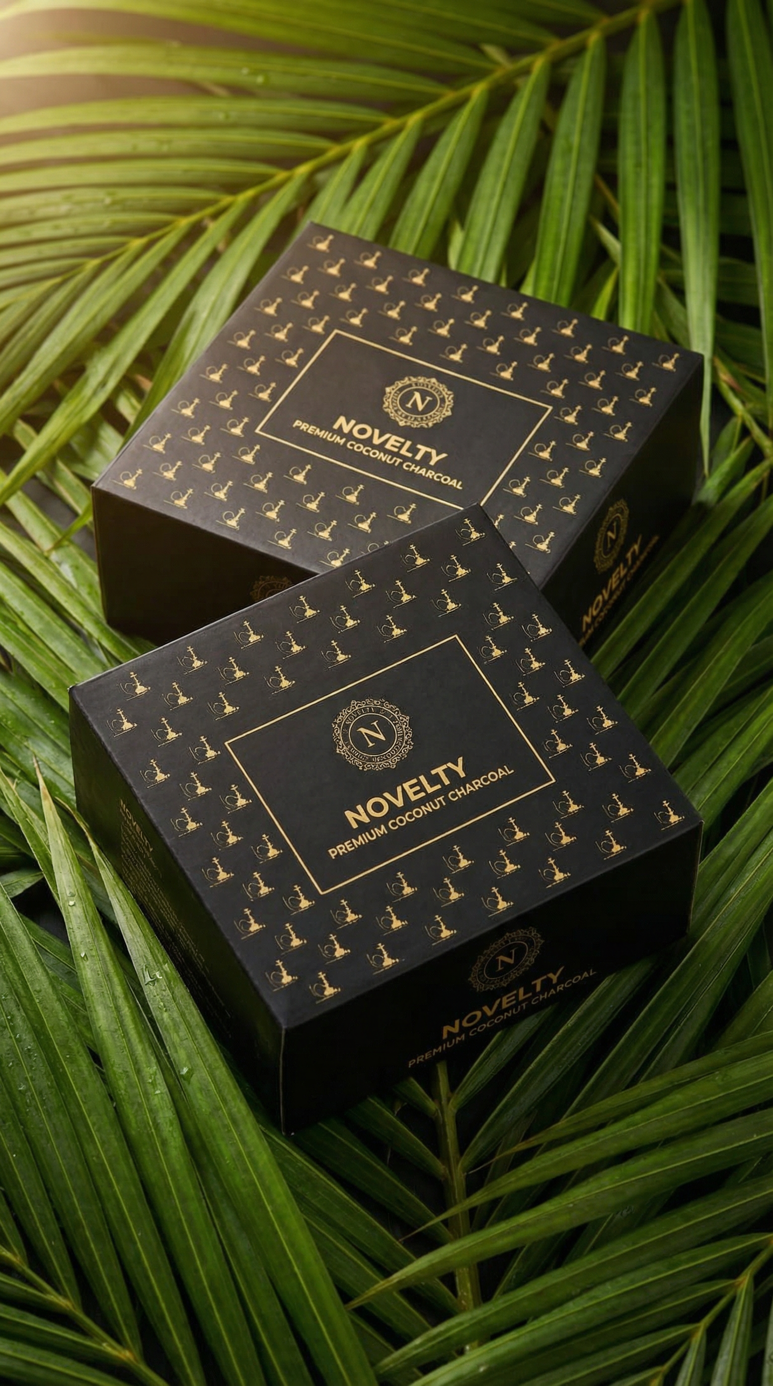 Coconut Charcoal